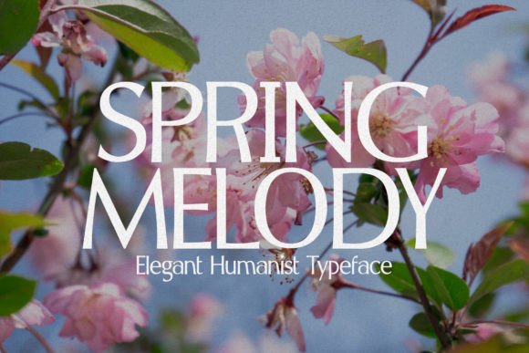 Spring Melody: Crafting Elegance in Every Letterform